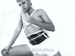 Agnidush66