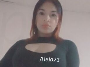 Aleja23