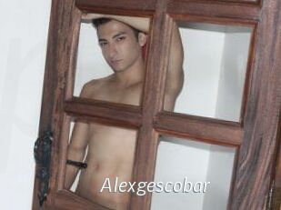 Alexgescobar