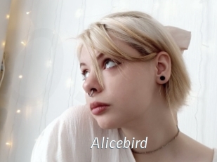 Alicebird