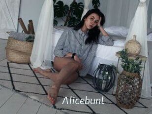 alicebunt Porn Star