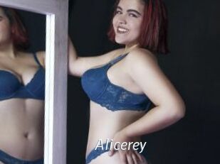 Alicerey