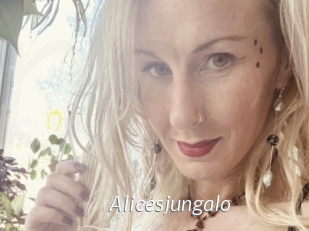 Alicesjungalo