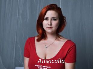 Alisacalla