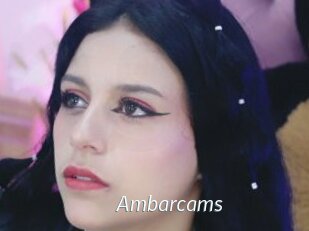 Ambarcams