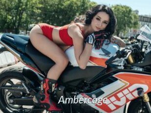 Ambercage