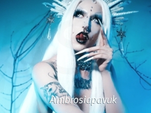Ambrosiapavuk