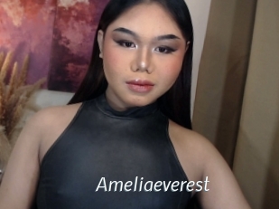 Ameliaeverest