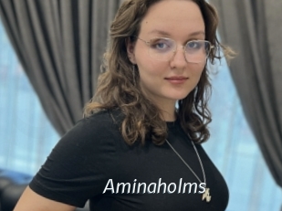 Aminaholms