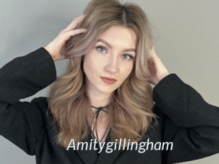 Amitygillingham