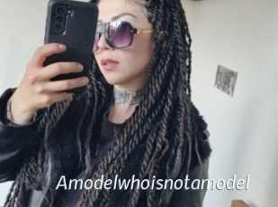 Amodelwhoisnotamodel