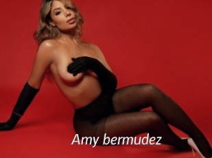 Amy_bermudez