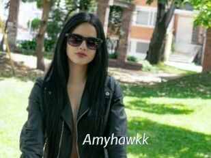 Amyhawkk