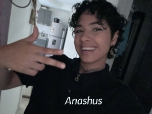 Anashus