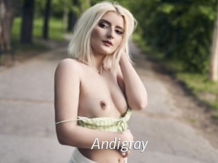 Andigray
