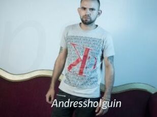 Andressholguin