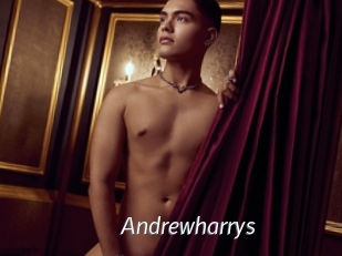 andrewharrys Porn Star