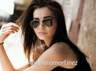 Andrianamartinez