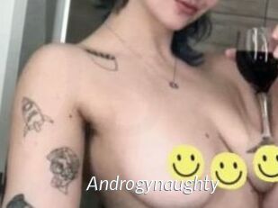 Androgynaughty