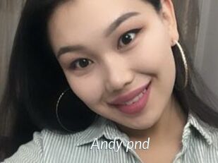 Andy_pnd