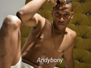 Andybony