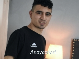 Andyconort