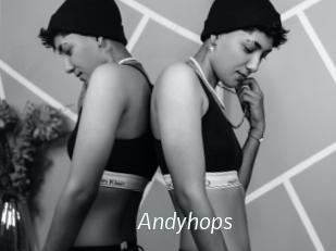 Andyhops