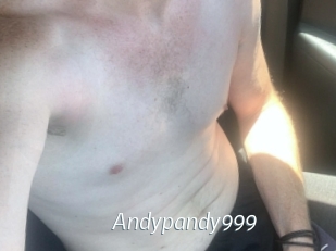 Andypandy999