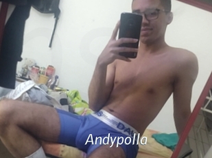 Andypolla