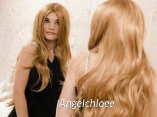 Angelchloee