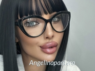 Angelinapantera