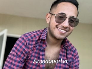Angeloporter