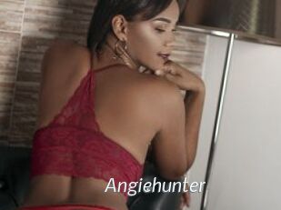 Angiehunter