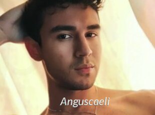 Anguscaeli