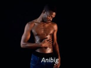 Anibig