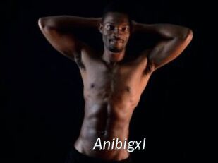 Anibigxl
