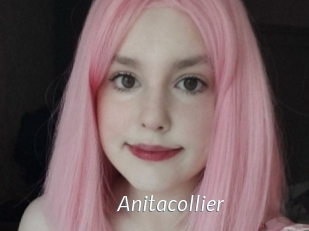 Anitacollier