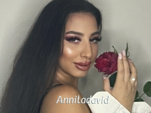 Annitadavid