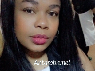 Antarabrunet