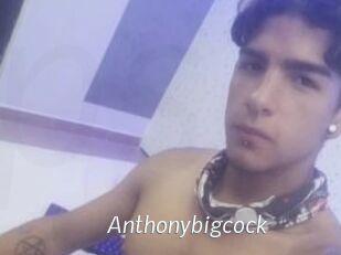 Anthonybigcock