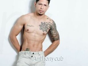 Anthonycub
