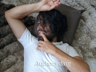 anthonyding Porn Star