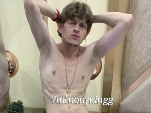anthonykingg Porn Star