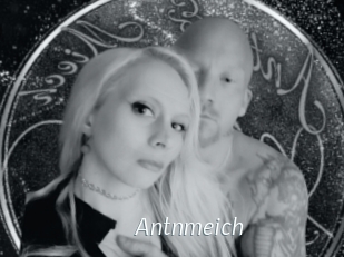 Antnmeich