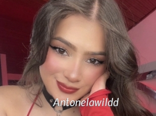 Antonelawildd