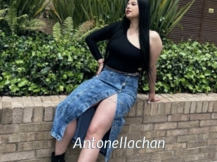 Antonellachan