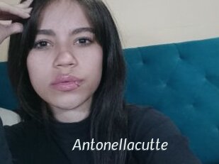 antonellacutte Porn Star