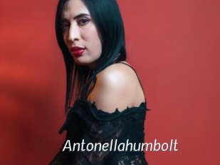 Antonellahumbolt