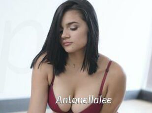 Antonellalee