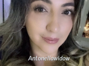 Antonellawidow